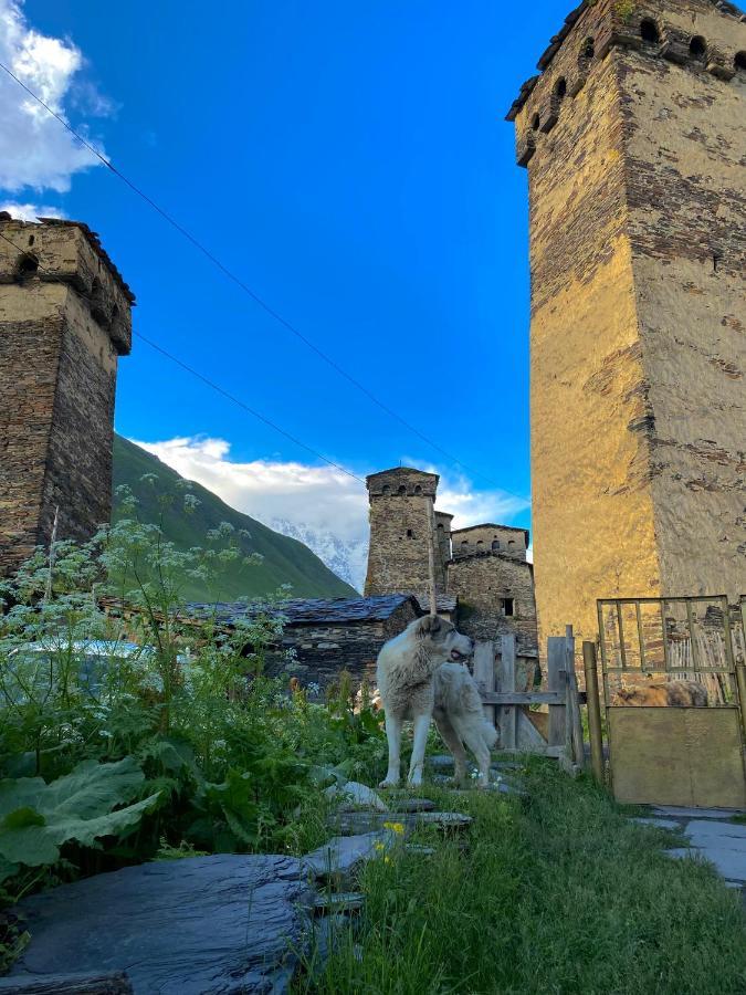 Nizharadze'S Tower Hotel Ushguli Exterior photo