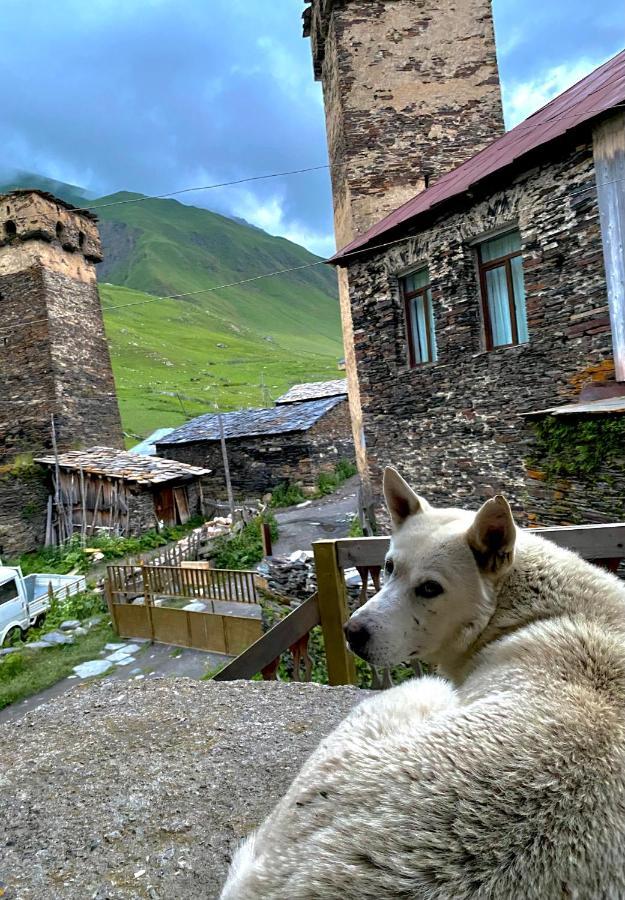 Nizharadze'S Tower Hotel Ushguli Exterior photo